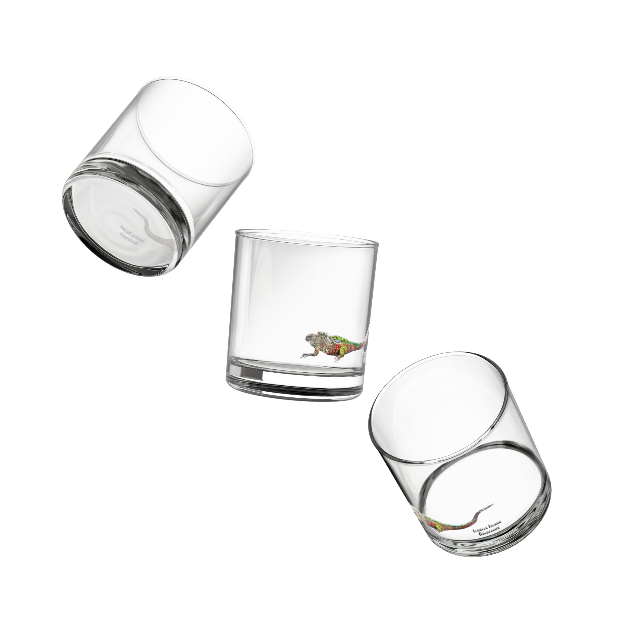 Iguana Painting Rocks Glass - Unique 10oz Drinkware
